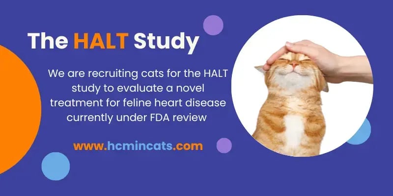 The HALT Study
