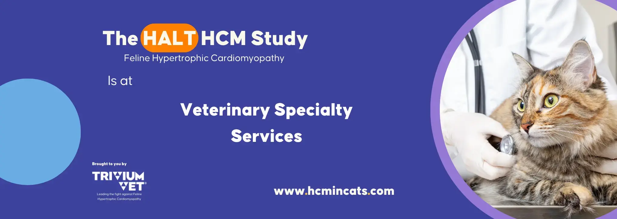 HALT at Veterinary Specialty Services Manchester, MO