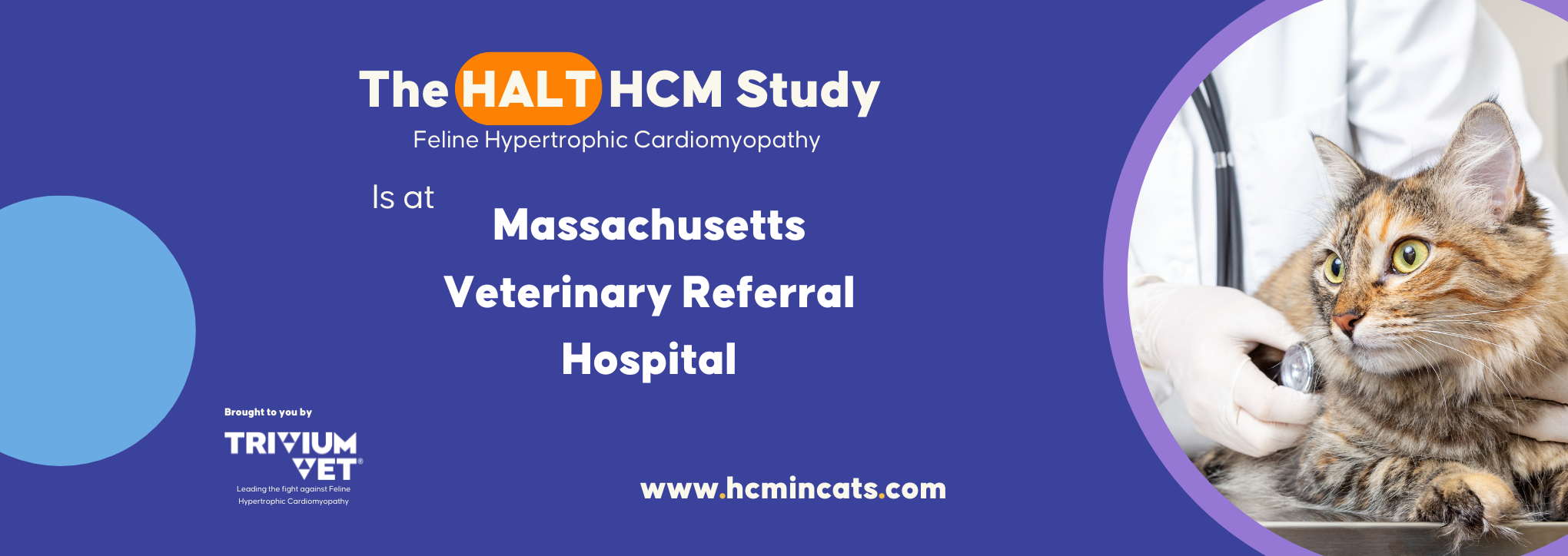 The HALT HCM Study
