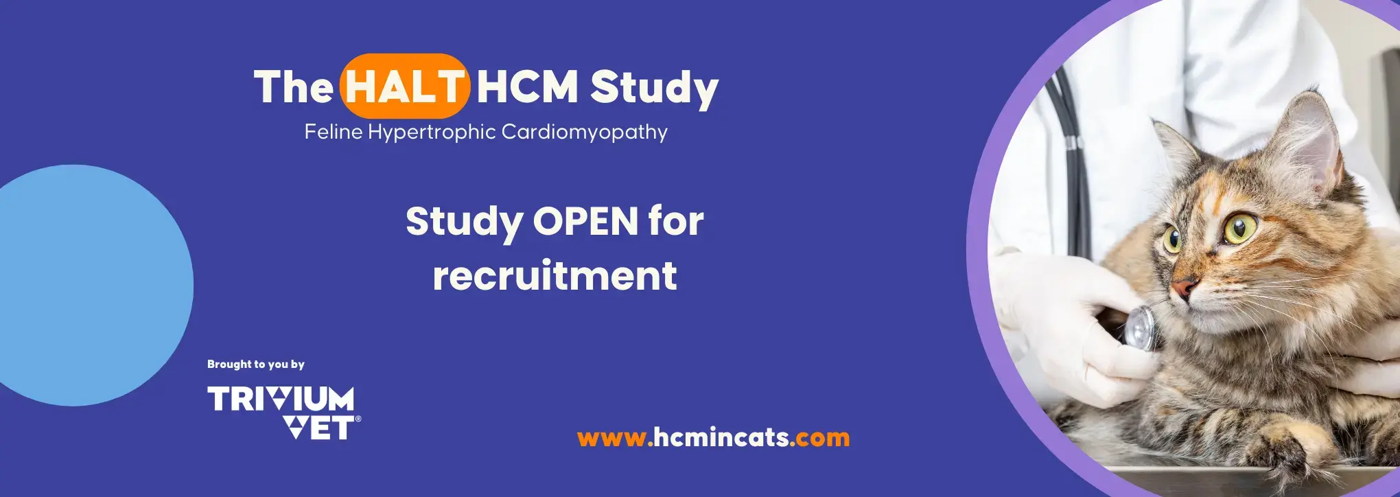 The HALT HCM Study