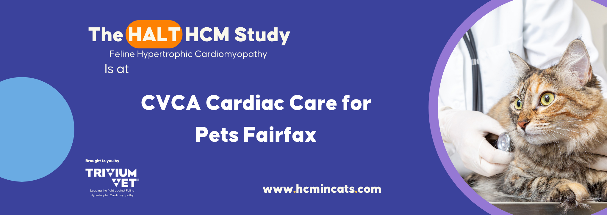 CVCA Fairfax